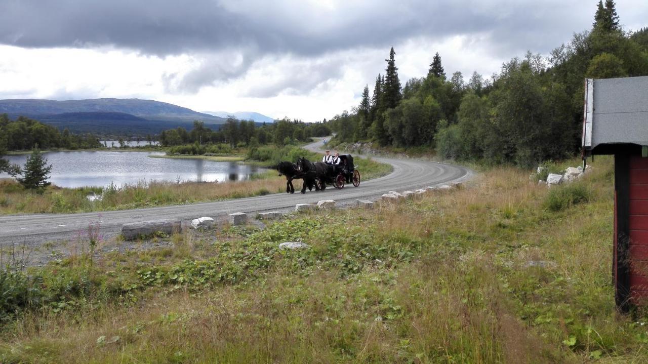 Bergfosshytta 1 Sor Lägenhet Ron Exteriör bild